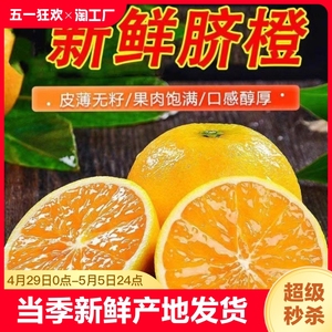 伦晚脐橙1/5/9斤装产地直发新鲜橙子当季手剥甜橙新鲜应季水果