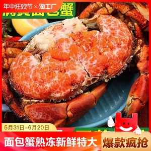 面包蟹熟冻新鲜鲜活特大超大珍宝蟹生冻熟食梭子蟹海鲜水产大螃蟹