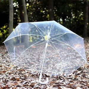 透明雨伞长柄小清新晴雨伞磨砂加厚韩版学生自动折叠高级手动塑料
