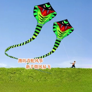 2024新款青蛇风筝成人专用大型高档长尾蛇儿童初学者微风易飞尾巴
