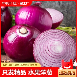 云南水果洋葱农家自种紫皮洋葱水果元葱红皮洋葱蔬菜5斤10斤新鲜