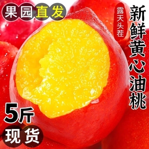 黄心油桃5斤应季大桃子新鲜水果当季整箱包邮蜜脆桃10时令大果