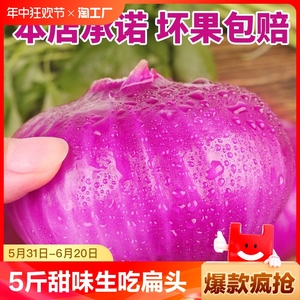 新鲜紫皮洋葱农家自种生吃紫皮洋葱当季现挖脆甜河南圆葱5斤蔬菜