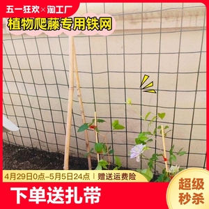月季花墙专用爬藤丝网 庭院爬藤植物上墙铁网格 铁线莲绿色铁丝网