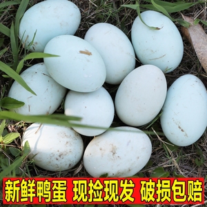 新鲜鸭蛋30枚土鸭蛋农家散养新鲜生鸭蛋青壳青皮白皮绿壳鸭蛋包邮