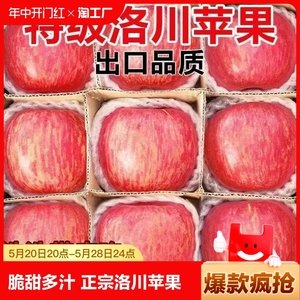 华圣陕西洛川红富士苹果水果10斤新鲜应当季脆甜冰糖心特级整箱