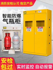 全钢防爆气瓶柜安全柜液化气乙炔钢瓶储存柜实验室双瓶煤气罐柜子