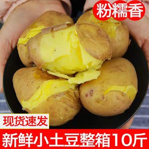 土豆新鲜2024年云南特产红皮黄心土豆蔬菜批发农家自种马铃薯洋芋