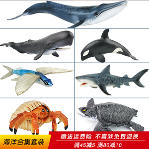 仿真海洋飞鱼玩具动物模型抹香鲸寄居蟹蓝鲸鲨鱼玩偶儿童礼物鲸鱼