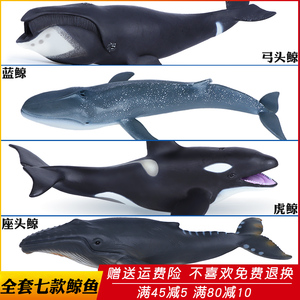 仿真海洋生物鲸鱼玩具动物模型大号弓头鲸虎鲸座头鲸一角鲸男儿童