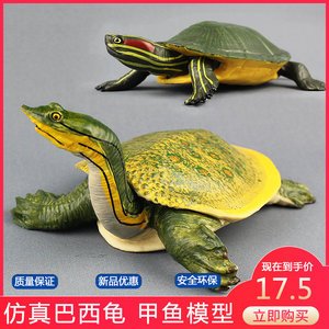 仿真乌龟巴西龟模型动物玩具两栖甲鱼玩偶鳖塑料儿童科教认知礼物