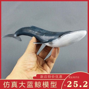 大号鲸鱼仿真海洋动物蓝鲸模型玩具塑胶实心摆件儿童男海底总动员