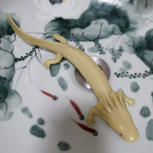 学生礼物safari正品荧光娃娃鱼静态模型玩具蝾螈泥狗黑暗处发亮光
