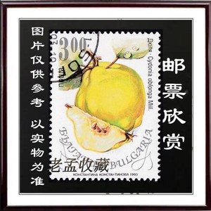 收藏 水果植物邮票 榅桲(Cydonia oblonga Mill)木梨 土木瓜 H442
