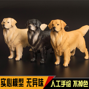仿真动物模型家庭摆件金毛犬寻回犬宠物狗塑胶实心玩具男女孩礼物