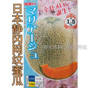 日本静冈进口网纹甜瓜种子 口感香甜蜜西瓜籽水果春季蔬菜种籽孑