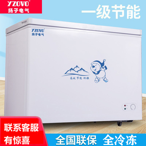 扬子电气268L冰柜家用小型商用大容量全冷冻型冷柜节能省电冷冻柜