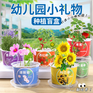 幼儿园礼物儿童植物种植盲盒奖品小学生全班奖励小礼品实用小玩意