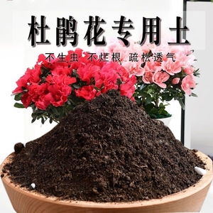 杜鹃花专用土杜鹃花专用营养土养花通用型家用种植土绿植酸性土壤
