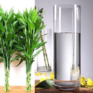 透明玻璃花瓶水养龙竹开转运招财富贵竹子醒花桶30专用高款40cm50