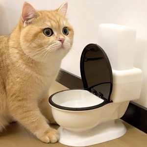宠物猫厕所马桶饮水机网红猫咪大容量搞笑趣味自动喝水碗盘防打翻