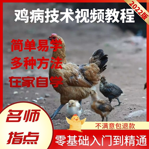 养鸡技术视频教程蛋鸡肉鸡科学生态散养殖鸡病家禽发酵床饲养