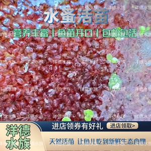 水蚤活体蚤种活苗鱼虫红虫水虱子鱼食卵饲料鱼苗幼苗开口活食实验