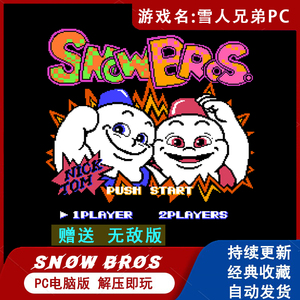 雪人兄弟电脑版PC童年怀旧双人单机游戏小霸王手柄雪球老游戏