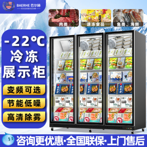 巴尔赫冷冻展示柜商用冰箱急冻冻品立式风冷无霜速冻低温冻品冰柜