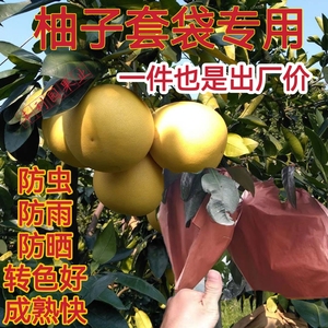 柚子套袋专用水果早熟红黄纸袋三红心蜜柚三层双层防虫防鸟保护袋