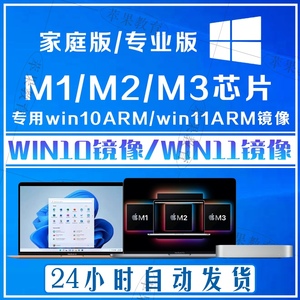 M1/M2/M3芯片用win10ARM/win11ARM镜像纯净ISO家庭专业版PD虚拟机
