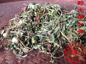 野生蒲公英泰顺特产叶茶带根干整棵颗农家自采婆婆丁新货中草药材