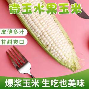 招牌果】微玉爆浆冰糖玉米即食生吃新鲜水果玉米6-8根礼盒装