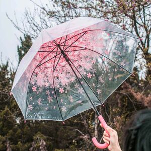 儿童透明雨伞女孩小清新樱花日本拱型小学生上学专用伞女生高颜值
