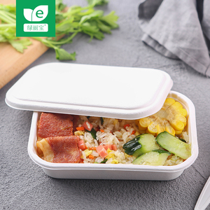绿丽宝一次性餐盒纸浆可降解环保打包盒外卖方形飞机餐盒小号轻食