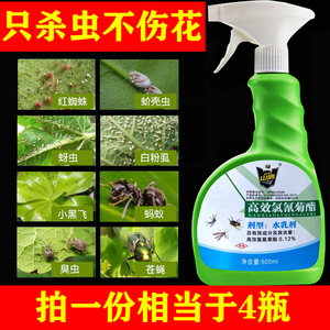 花卉刹虫剂杀通用一遍净药植物家用治的打除小飞虫专杀花盆小黑飞