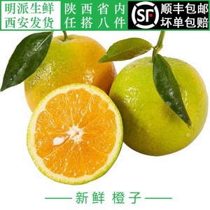 新鲜水果甜橙 夏橙脐橙 国产橙子500克 当季时令水果不打药不催熟