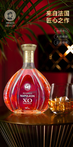 【买一瓶送一瓶】法国进口理查三世拿破仑XO白兰地40度洋酒礼盒装