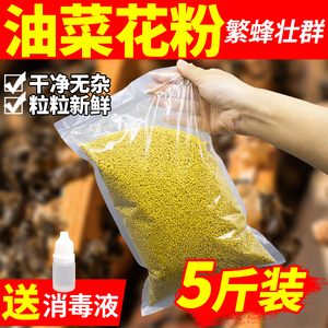 养蜂茶花杂粉喂蜂蜜蜂饲料茶叶花粉天然蜂用花粉养蜂专用蜂粮包邮