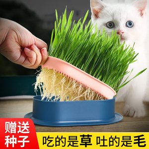 猫草盆栽无土水培杯育苗盘懒人种植盒自种神器小麦种子猫咪化毛草