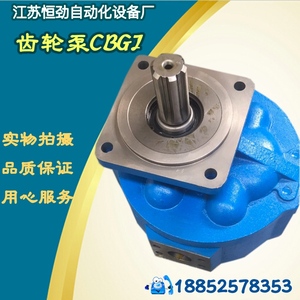 济南青州液压齿轮泵 CBG2040 2050 2063 2080 2100 CBGJ CBZ JHP