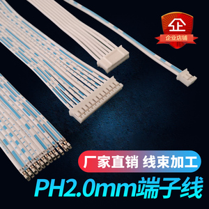 PH2.0排线端子线电子线2.0mm间距2P4P6P10P插头蓝白排线加工定做