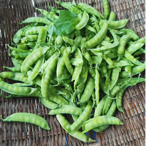 新鲜荷兰豆甜豆青豆菜豌豆麦豆荚豆农家新鲜蔬菜3斤包邮当季蔬菜