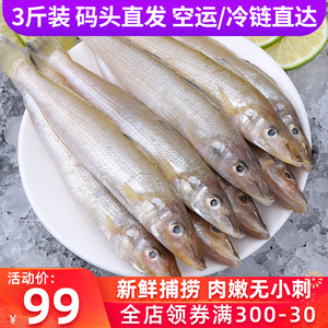 沙丁鱼新鲜青岛海捕深海鱼鲜活冷冻速冻3斤冰鲜海鲜水产 烧烤食材