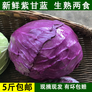 现割新鲜蔬菜沙拉菜紫甘蓝紫椰菜5斤包邮紫包菜卷心菜红椰菜