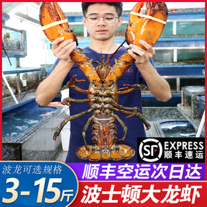 波士顿龙虾鲜活速冻超特大10海鲜水产青龙澳龙波斯顿大龙虾3-15斤