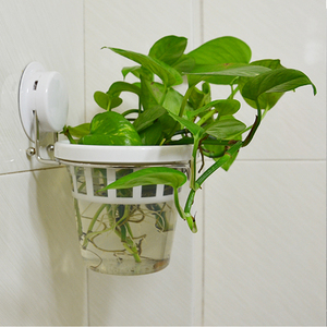 水培花盆壁挂式免打孔浴室绿萝花架自动吸水懒人塑料花瓶嘉宝吸盘