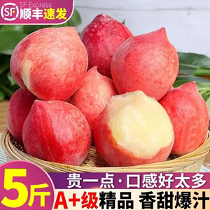 【顺丰包邮】 河北春雪水蜜桃新鲜时令水果现摘5斤大果脆甜毛桃子