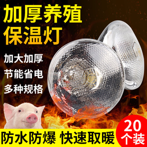 仔猪用保温灯养殖场专用灯泡小鸡育雏加热烤灯猪场兽用取暖保暖灯