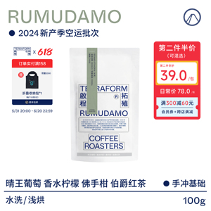 【Terraform】2024产季空运批次 RUMUDAMO水洗日晒手冲咖啡豆100g